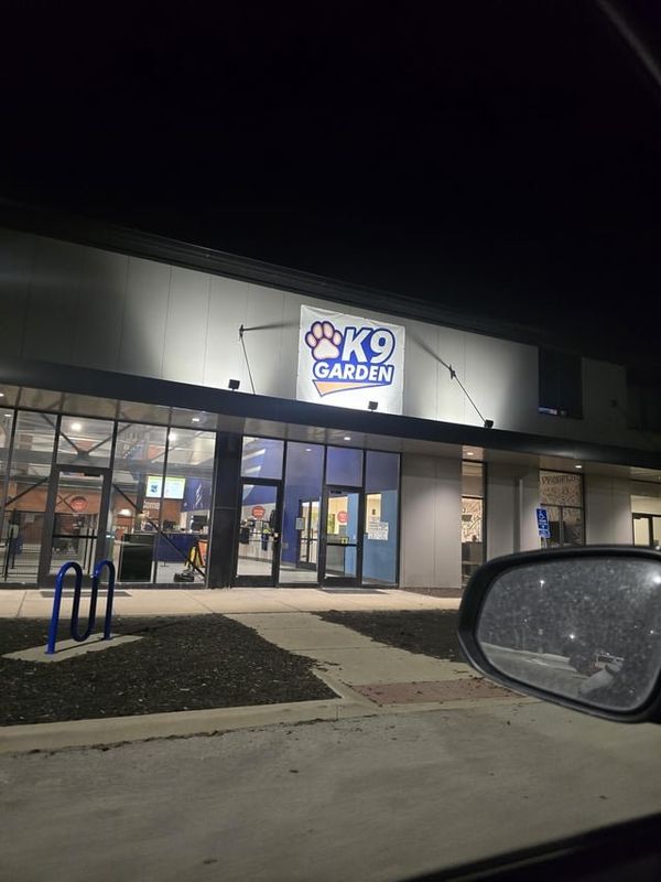 Lost Dog in K — Bar-k Replacement