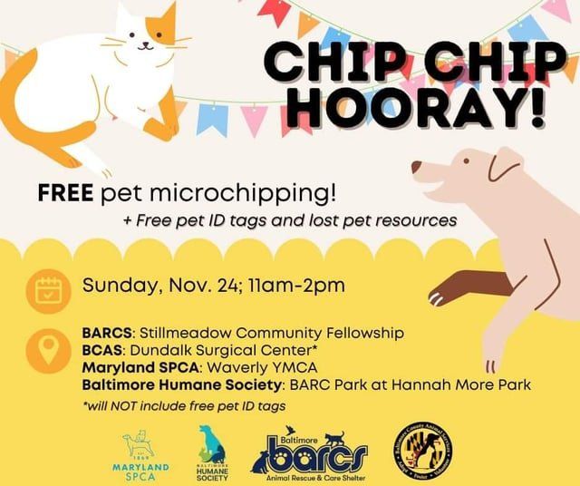 Lost Cat in Baltimore, Maryland — FREE cat and dog microchipping on 11/24 at multiple locations in the City!