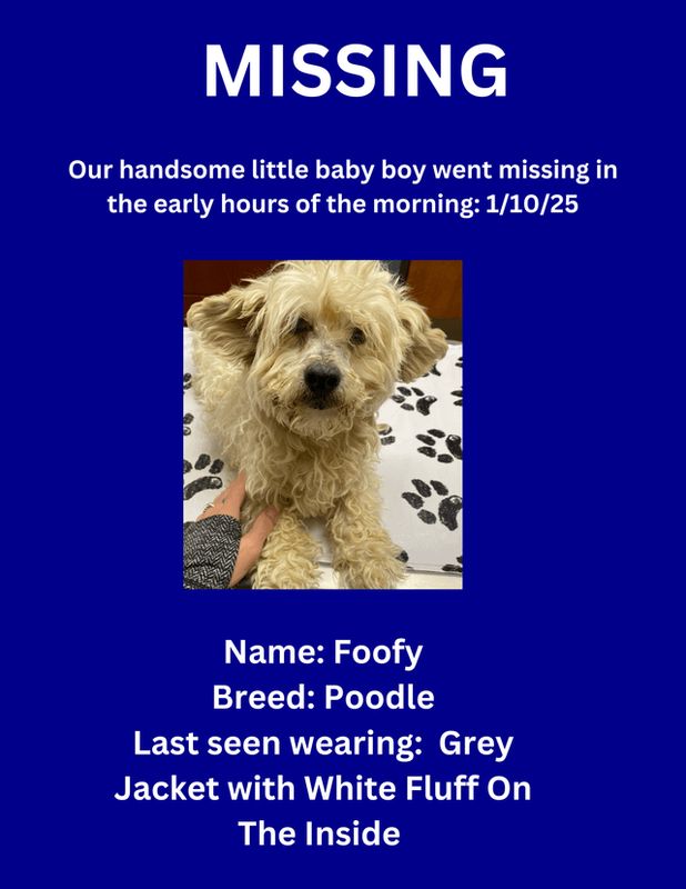 Lost Dog in Albuquerque, New Mexico — listing photo