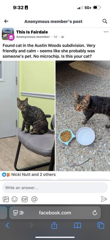 Found Cat in Louisville, Kentucky — Does anyone recognize this vet’s office?