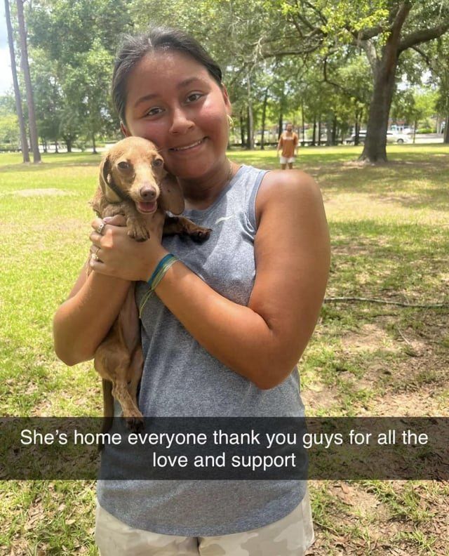 Lost Dog in Jacksonville, Florida — UPDATE ON LOST DOG
