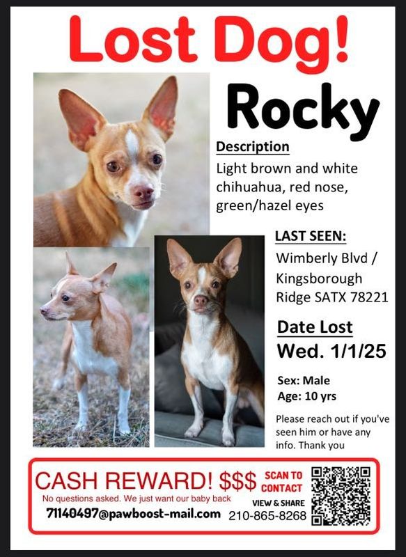 Lost Dog in San Antonio, Texas — listing photo
