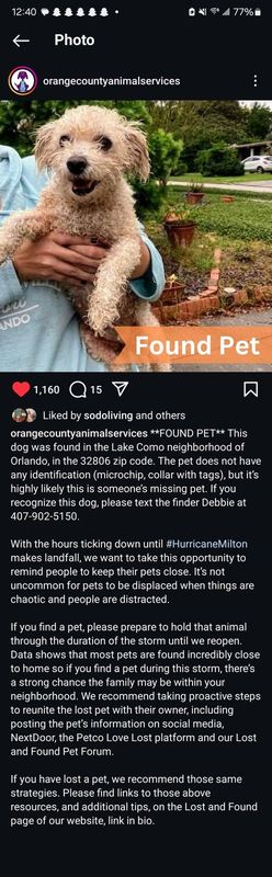 Lost Pet in Orlando, Florida — PSA if you find lost pets