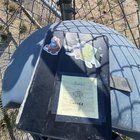 Lost Dog in Bellingham, Washington — iPad found at Padden
