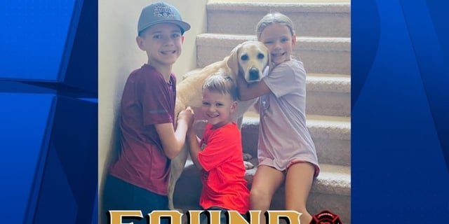 Lost Dog in Phoenix, Arizona — listing photo