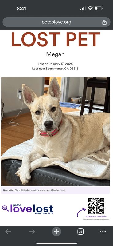 Lost Dog in Sacramento, California — Have you Seen this Dog? MISSING