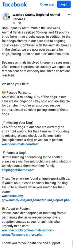 Lost Pet in Reno, Nevada — Washoe County animal services frequently shares posts of lost pets, but recently described how they…
