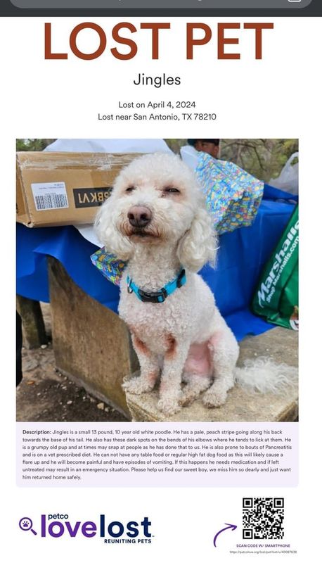 Lost Dog in San Antonio, Texas — listing photo