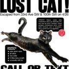 Lost Cat in Seattle, Washington — STILL MISSING! LOST CAT - 33rd Ave SW & SW 100th (White Center/Arbor Heights)