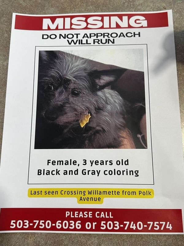 Lost Dog in Portland, Oregon — listing photo