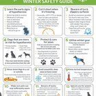 Lost Pet in Tempe, Arizona — Freezing temperatures are coming please take care of your pets. Bring them in and keep them warm…