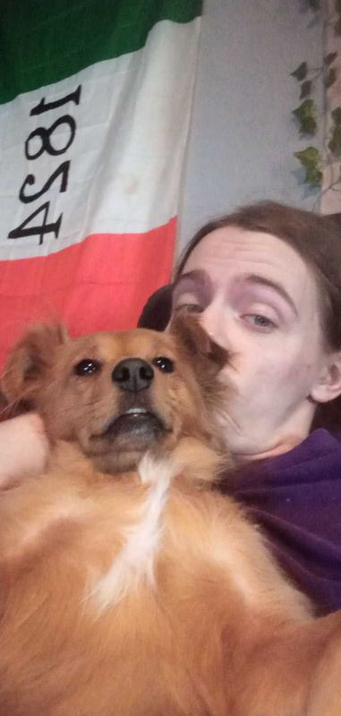 Lost Dog in Rising Star — listing photo
