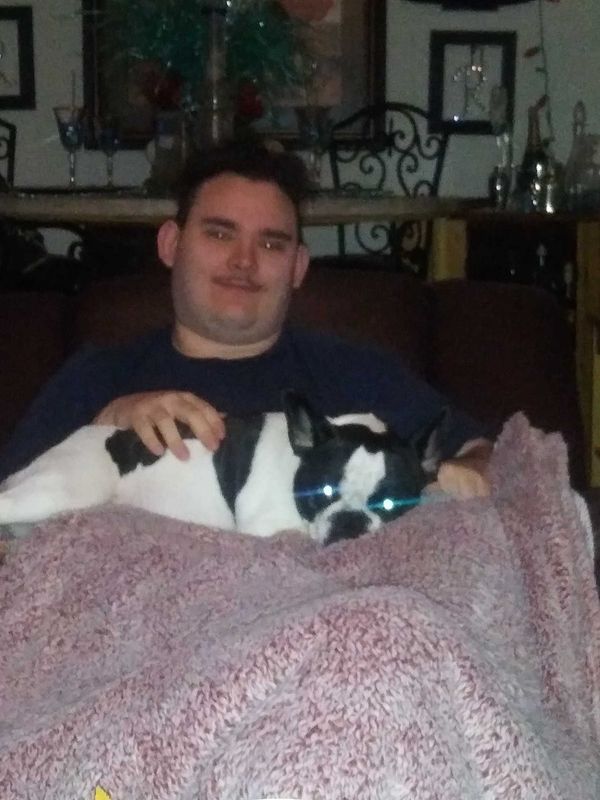 Lost Dog in Silverdale — listing photo