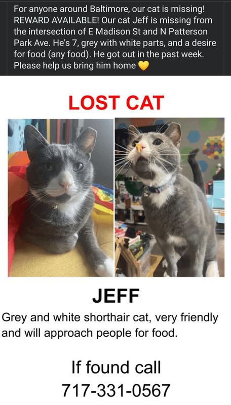 Lost Pet in K — Please be on the lookout for sweet Jeff. This has been posted in the lost pets group as well