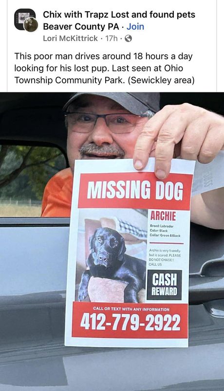 Lost Dog in Pittsburgh, Pennsylvania — listing photo