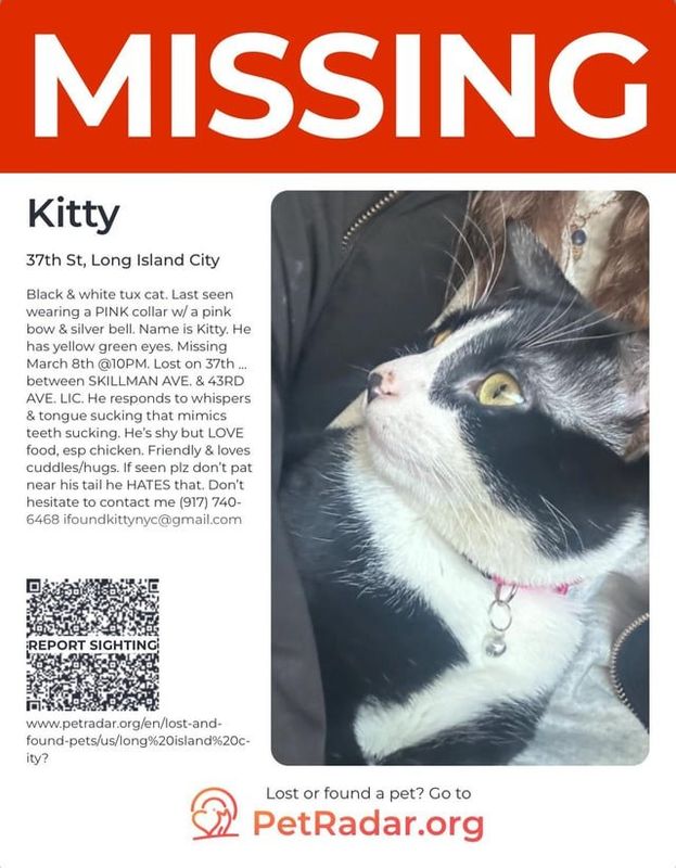 Lost Cat in New York, New York — HELP PLS!! SUNNYSIDE / LIC / WOODSIDE COMMUNITY