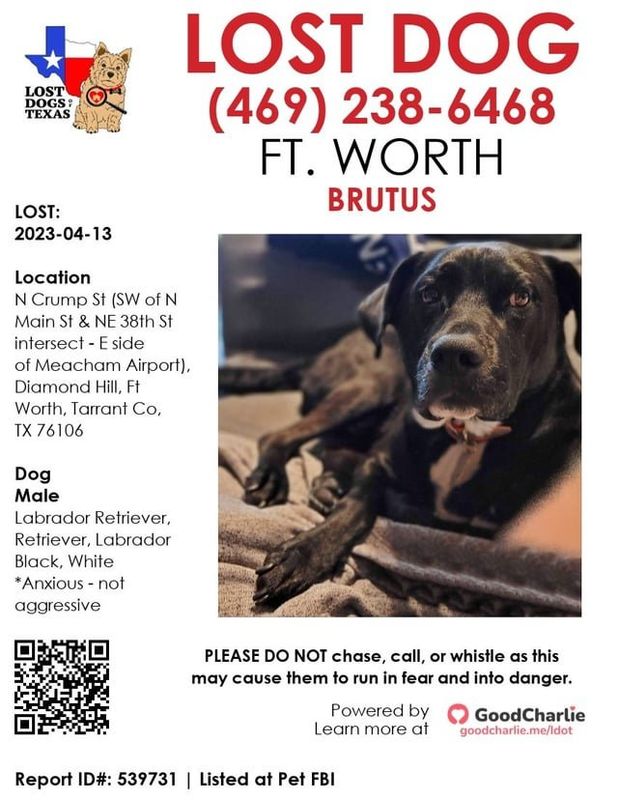 Lost Cat in Decatur, Illinois — Dog is still missing, last seen near E Long Ave and Decatur Ave, 76106. Please spread this flyer…