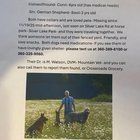 Lost Dog in Bellingham, Washington — listing photo
