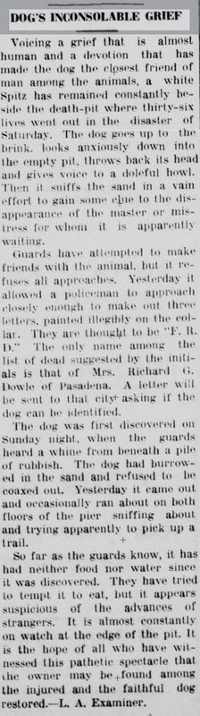 Found Dog in Los Angeles, California — I found this heartbreaking article published in May 1913 about a dog who refused to leave…