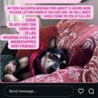 Lost Dog in Atlanta, Georgia — listing photo