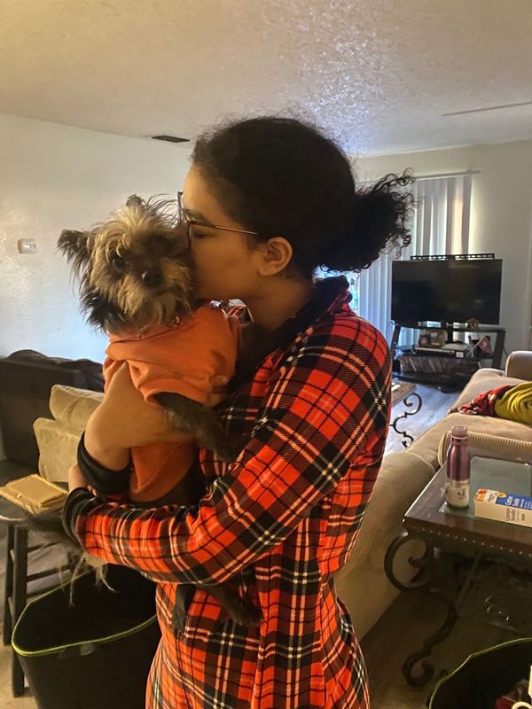 Lost Dog in Sacramento, California — listing photo