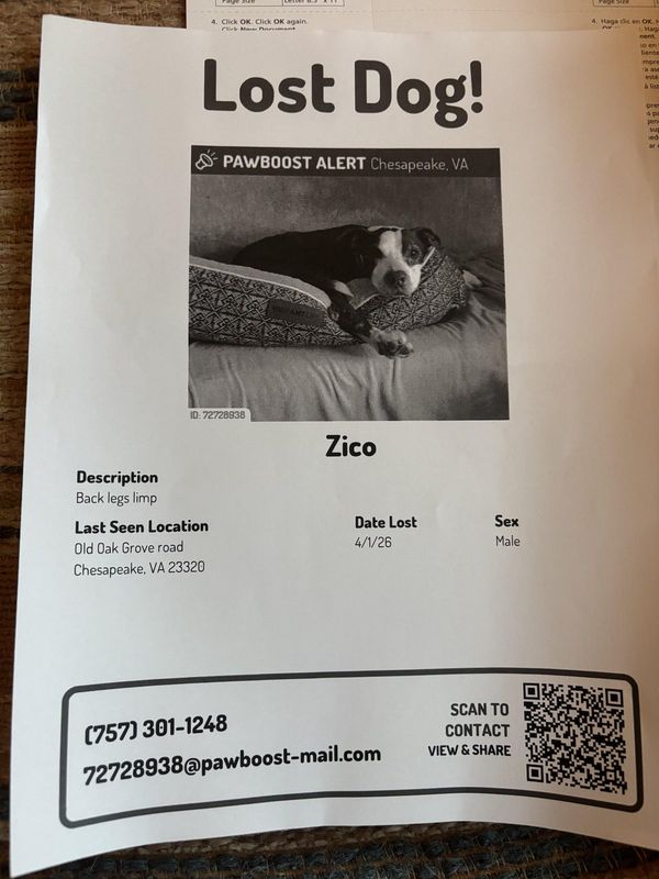 Lost Dog in Chesapeake, Virginia — listing photo