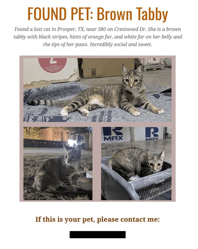 Found Cat in Dallas, Texas — Unsure if this kind of post is allowed, but I found a cat in Prosper TX, definitely someone's pet…