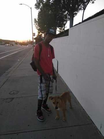Lost Dog in Austin, Texas — listing photo