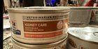 Found Cat in Bellingham, Washington — Hills Prescription Diet Kidney Care Canned Cat Food