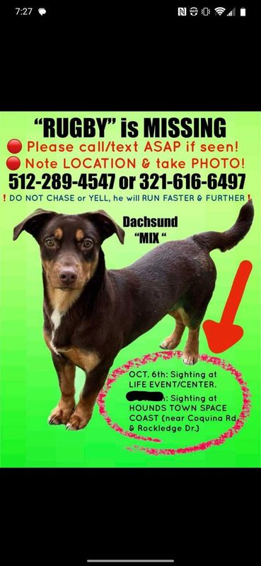 Lost Dog in FL 32955 — listing photo