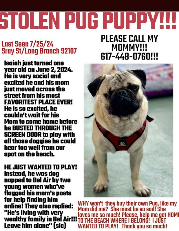 Lost Dog in Los Angeles, California — listing photo