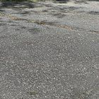 Found Cat in Providence, Rhode Island — listing photo