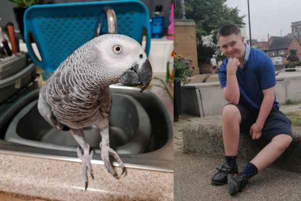 Lost Pet in Goleta — listing photo