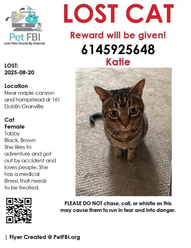Lost Cat in Cleveland, Ohio — Dublin Granville 161, near Cleveland ave. Please help me find my cat