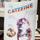 Lost Dog in Oklahoma City, Oklahoma — Catzeine: Cats to make you feel good!
