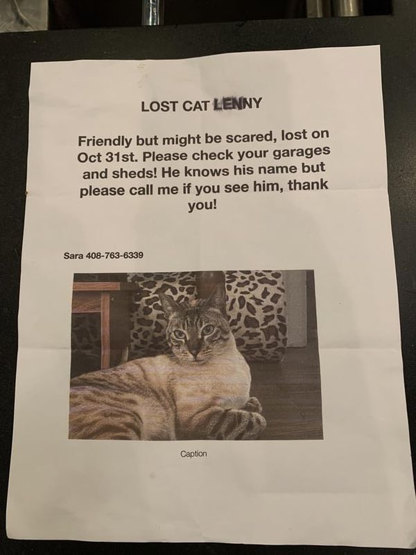 Found Dog in K — Let’s find Lenny…before Wile E. Coyote!