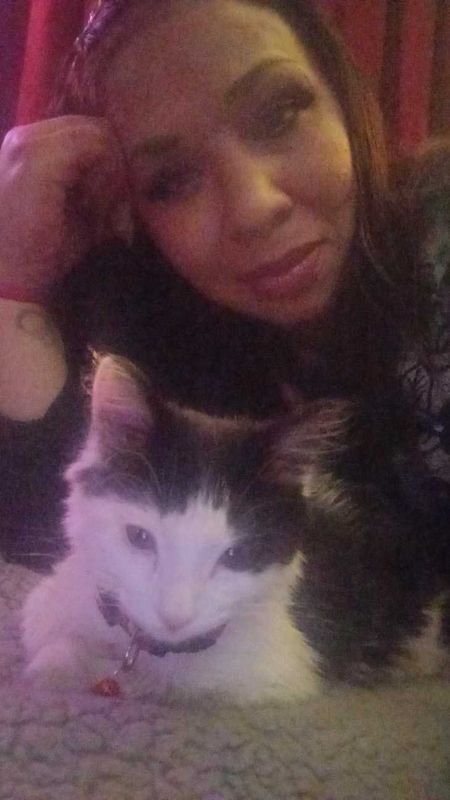 Lost Cat in Washington, District of Columbia — listing photo