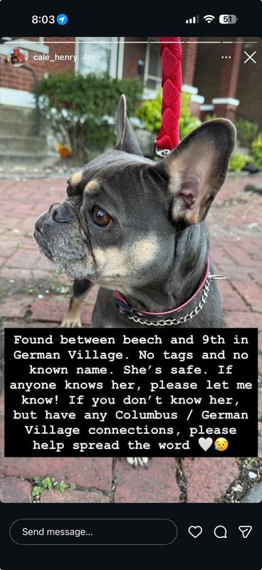 Found Dog in Columbus, Ohio — listing photo