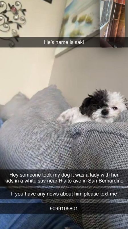 Lost Dog in San Bernardino, California — listing photo