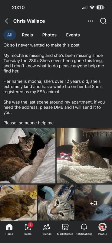 Lost Cat in Columbus, Ohio — listing photo