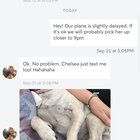 Found Dog in Erie, Pennsylvania — My dog was severely injured and left septic after a Rover stay — please be cautious who you…