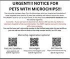 Lost Dog in K — Fyi - For those that have their pets microchipped