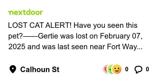 Lost Cat in K — listing photo