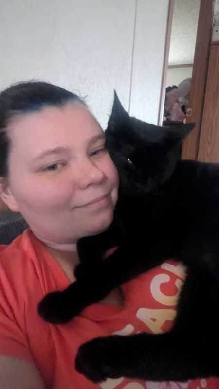 Lost Cat in Randleman — listing photo