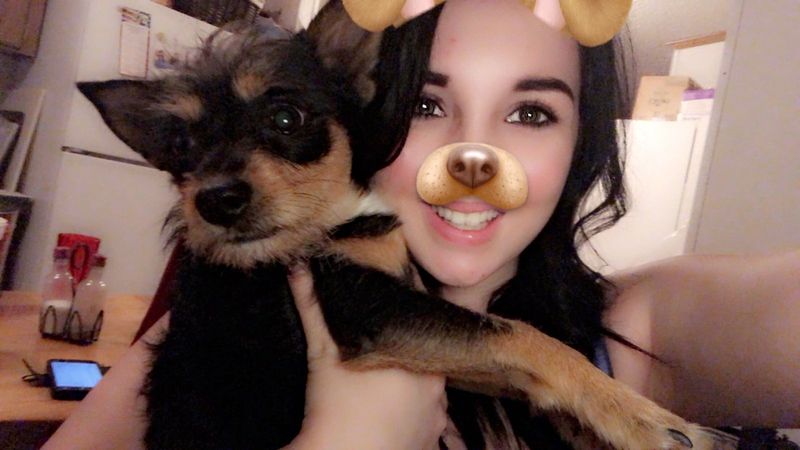 Lost Dog in Belen — listing photo