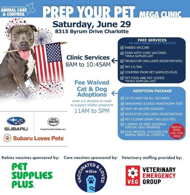 Lost Dog in K — Free microchips, name tags and vaccines for pets in meck county