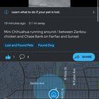 Lost Dog in Los Angeles, California — listing photo