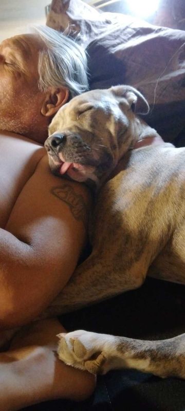Lost Dog in Pecos — listing photo