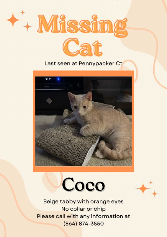 Lost Cat in Greer — listing photo