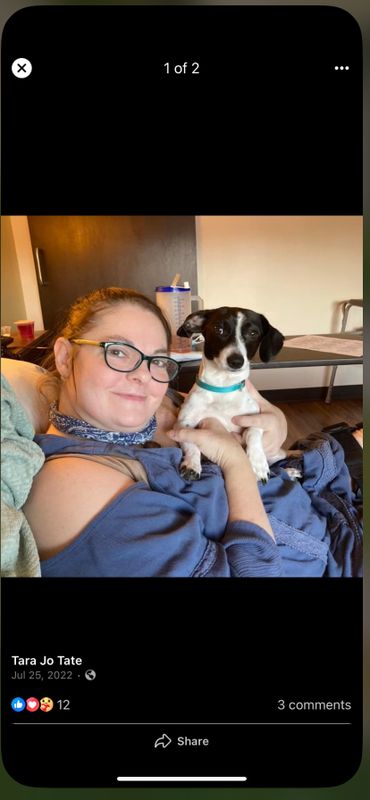 Lost Dog in Northglenn, Colorado — listing photo